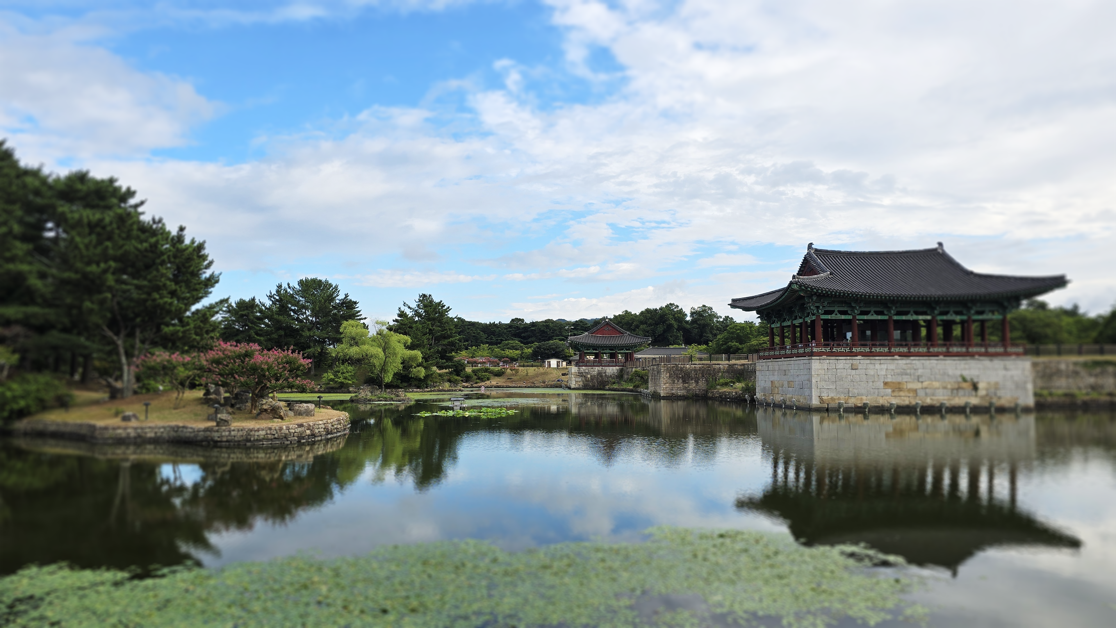 RISE 더경북공통교양교육센터